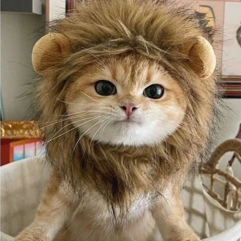 1pc Furry Lion Mane Wig For Cats & Dogs Funny Pet Costume Accessory